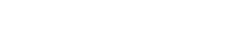 ScaleForgeX